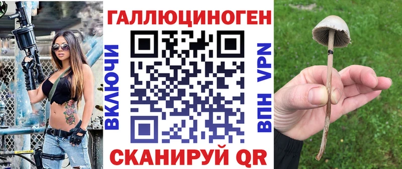Галлюциногенные грибы прущие грибы  Купить  Полярные Зори 